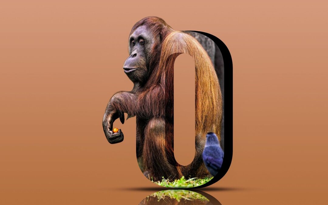 Wat zijn broedplaatsen van de orang-oetan?