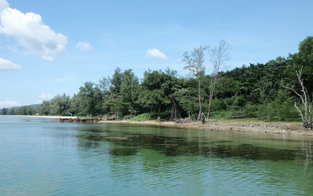 Wat is Tanjung Puting National Park?