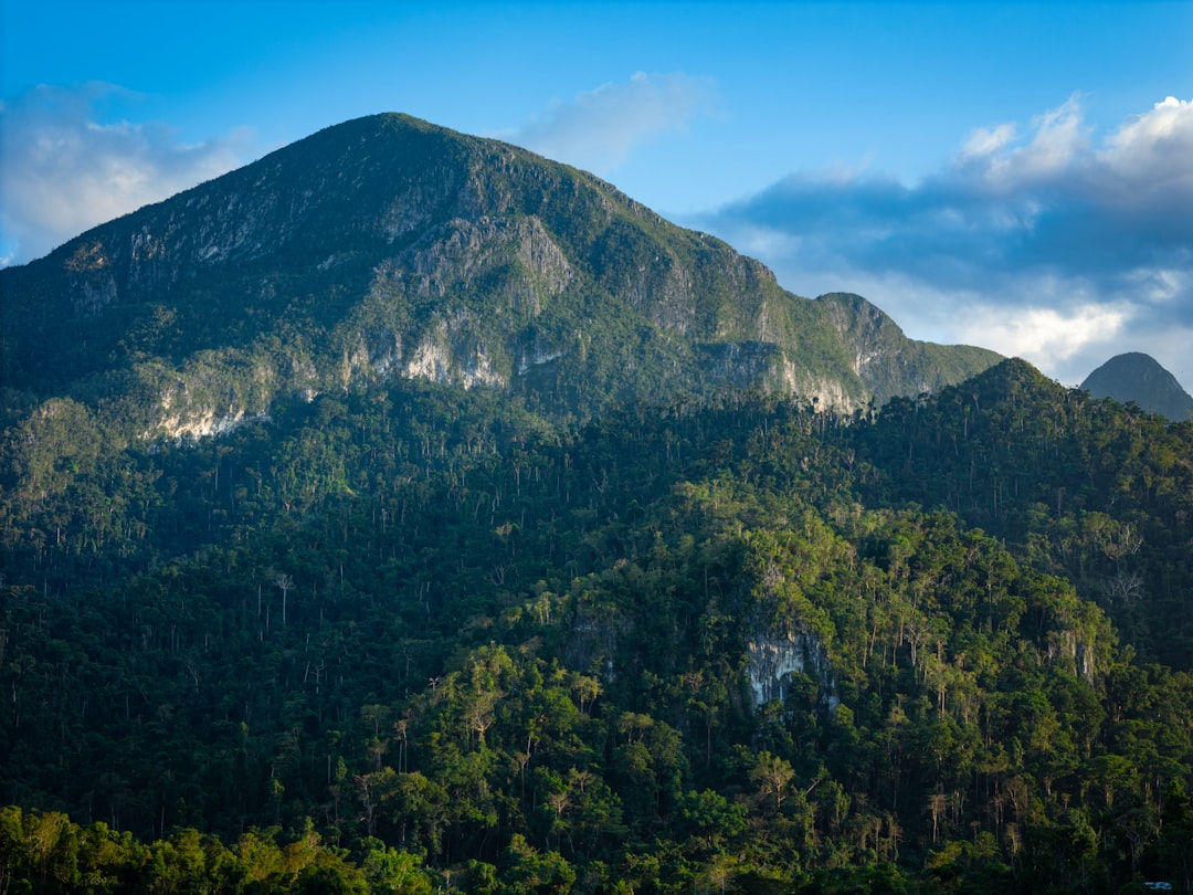 Wat is het Gunung Leuser National Park? Wat is het Gunung Leuser National Park?
