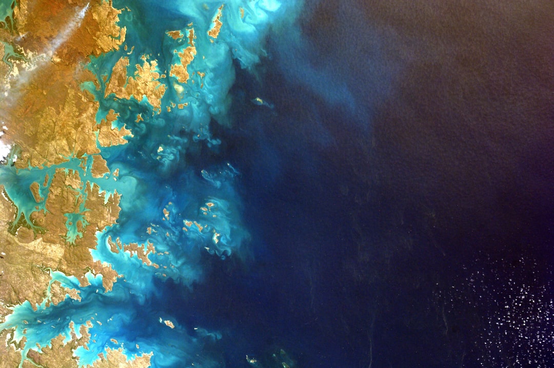 Hoe helpen satellietbeelden bij natuurbescherming?