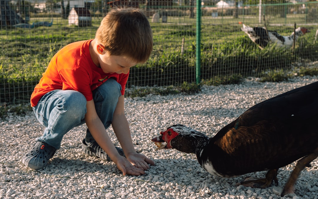 Hoe help je kinderen dierenliefde te ontwikkelen?