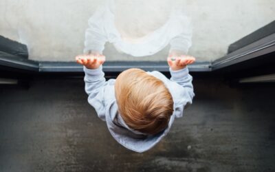 Hoe lang duurt het opvoeden van een jong?